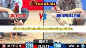 TRẬN 3 CPC2 NGÀY 25/4/2026