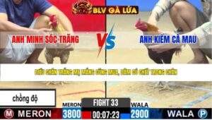 TRẬN 33 CPC2 NGÀY 24/4/2026
