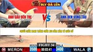 TRẬN 34 CPC3 NGÀY 23/4/2026