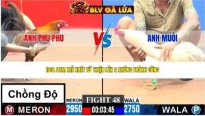 TRẬN 48 CPC3 NGÀY 23/4/2026