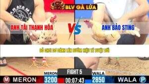 TRẬN 5 CPC2 NGÀY 22/4/2026