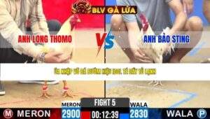 TRẬN 5 CPC2 NGÀY 24/4/2026