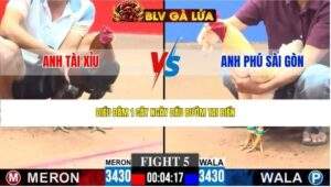 TRẬN 5 CPC3 NGÀY 23/4/2026