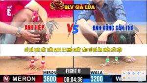 TRẬN 6 CPC2 NGÀY 12/4/2026