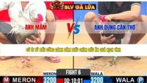 TRẬN 6 CPC2 NGÀY 16/4/2026