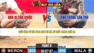 TRẬN 6 CPC2 NGÀY 24/4/2026