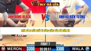 TRẬN 7 CPC2 NGÀY 22/4/2026