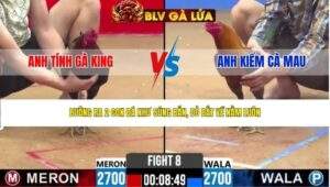 TRẬN 8 CPC2 NGÀY 17/4/2026