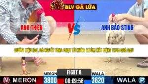 TRẬN 8 CPC2 NGÀY 24/4/2026