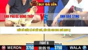 TRẬN 8 CPC2 NGÀY 25/4/2026