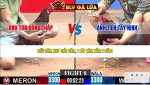 TRẬN 8 CPC3 NGÀY 14/4/2026