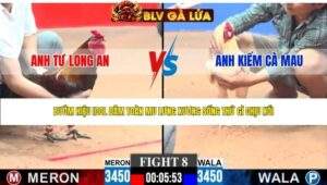 TRẬN 8 CPC3 NGÀY 19/4/2026