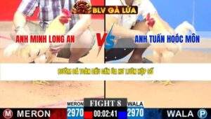 TRẬN 8 CPC3 NGÀY 23/4/2026