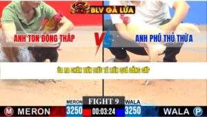 TRẬN 9 CPC3 NGÀY 23/4/2026